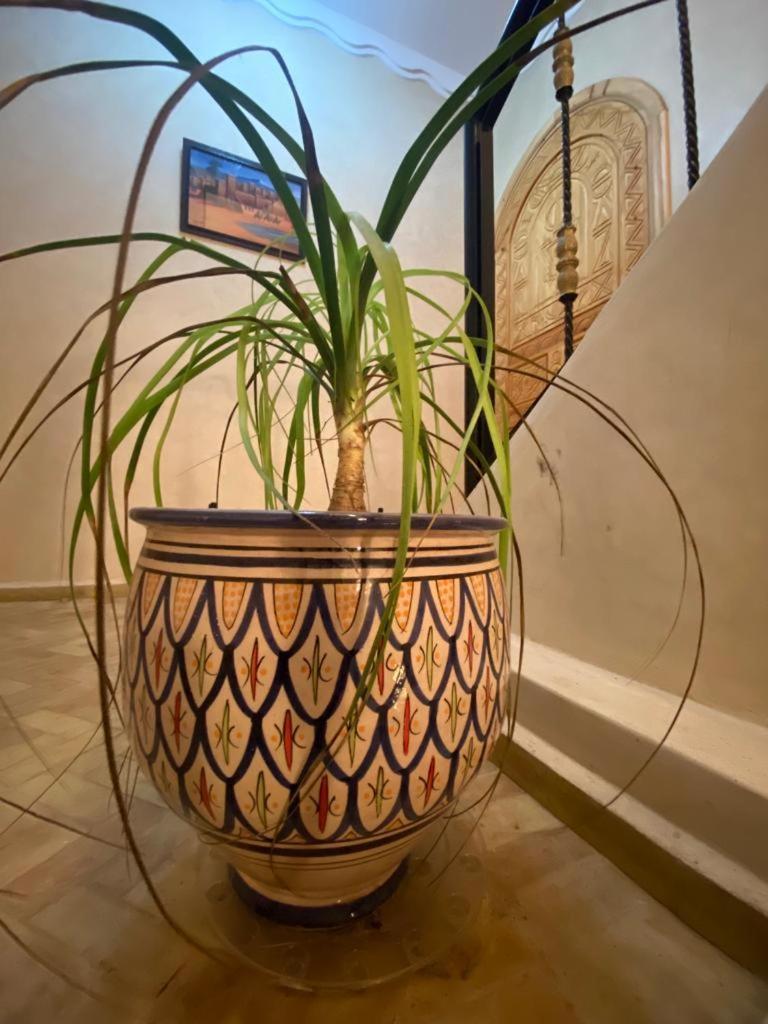 Apartament Dar Diafa Samira Mirleft Zewnętrze zdjęcie
